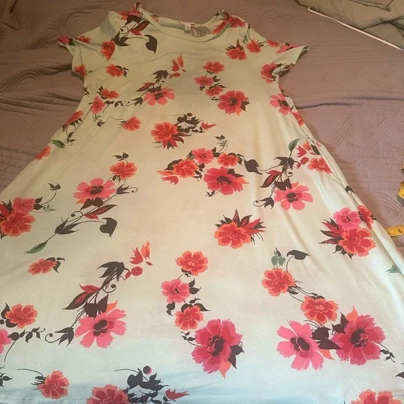 Mint green LulaRoe Jesse Floral Print Dress - Picture 1 of 5